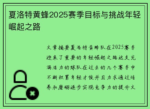 夏洛特黄蜂2025赛季目标与挑战年轻崛起之路